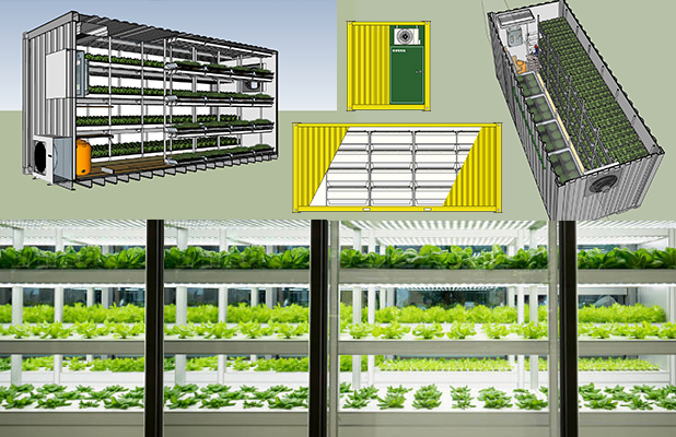 コンテナ型プラント、植物工場